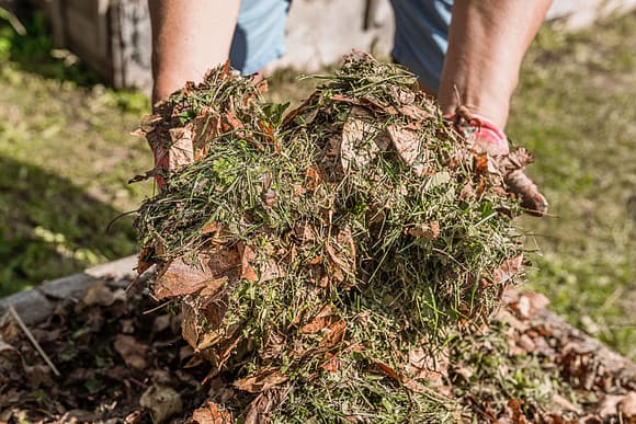Composting of cut grass and fallen leaves to enrich soil. Gardener's hands holding compost mulch