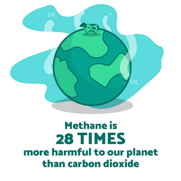Methane On Earth Icon