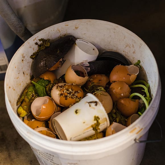 A back-of-house compost bin showing food scraps and compostable coffee cups