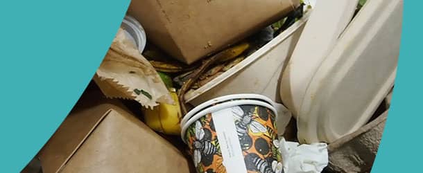 Commercial Food Waste Collection